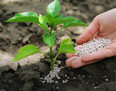 Ameropa Fertilizers Food Feed Danube Agriculture Sustainability Products Fertilizer